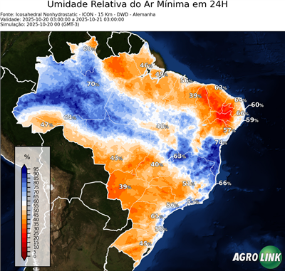 24 horas