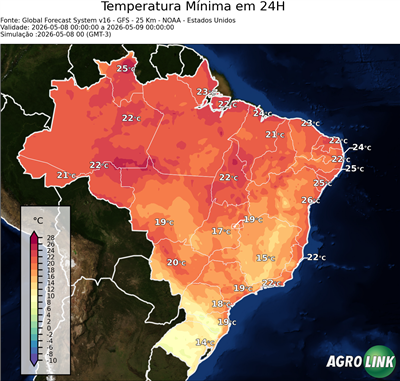 24 horas