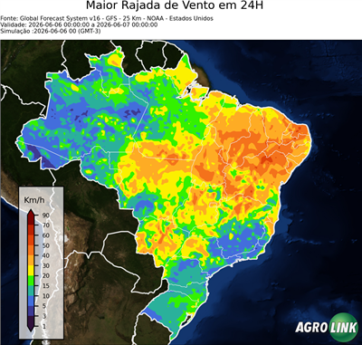 24 horas