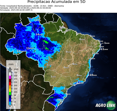 5 dias