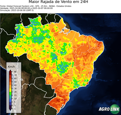 24 horas