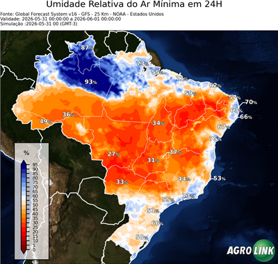 24 horas