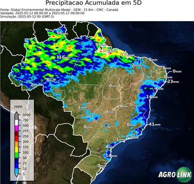 5 dias