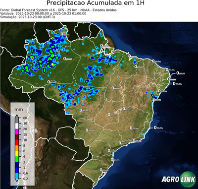 1 hora