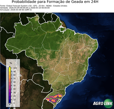 24 horas
