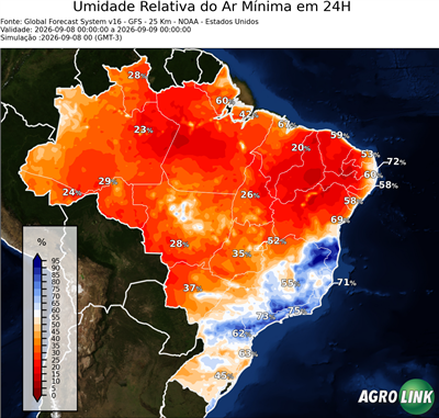 24 horas