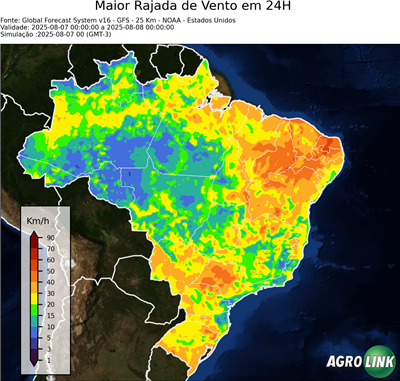 24 horas