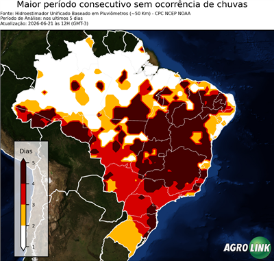 5 dias