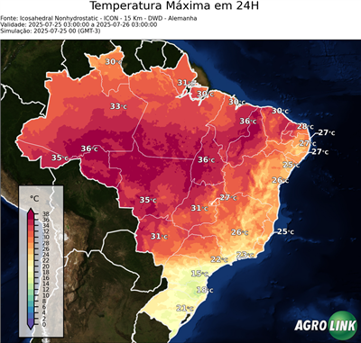 24 horas