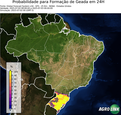 24 horas
