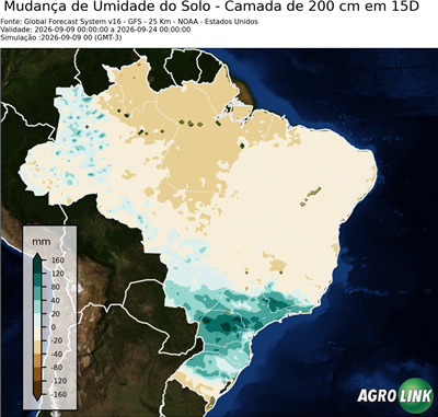 15 dias