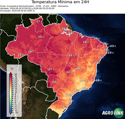 24 horas