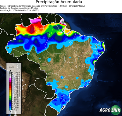 15 dias