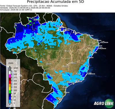 5 dias