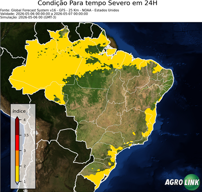24 horas
