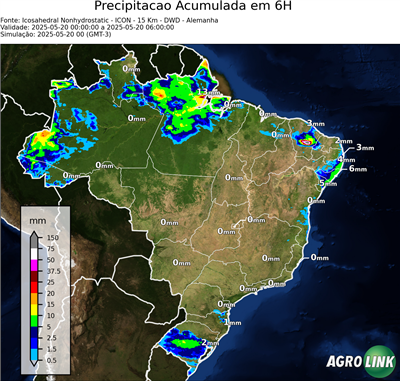 6 horas
