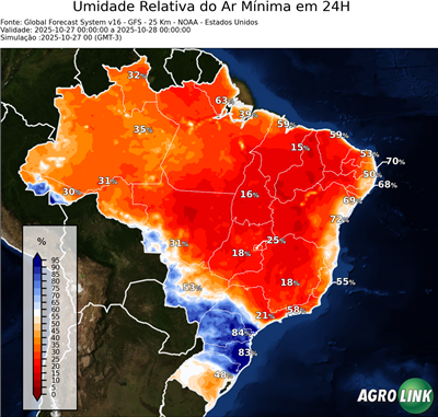 24 horas