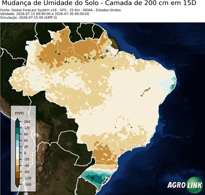15 dias