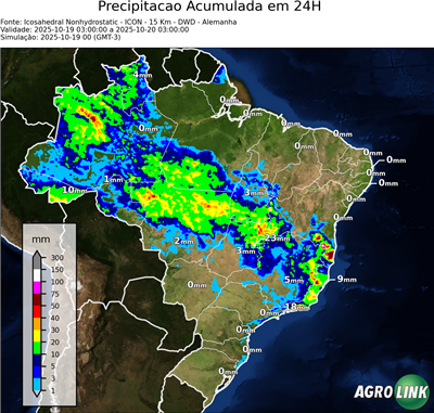 24 horas