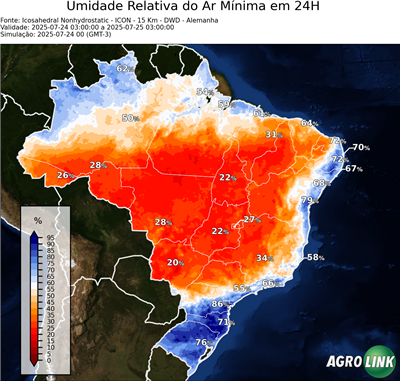 24 horas