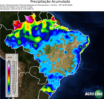 15 dias