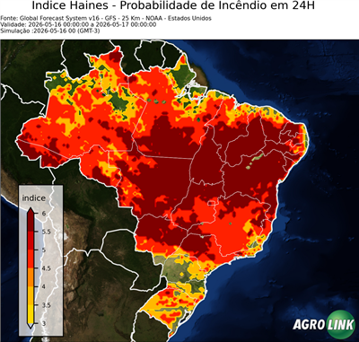 24 horas