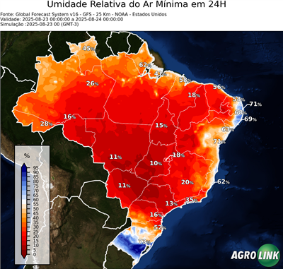24 horas