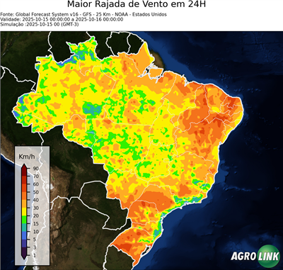 24 horas