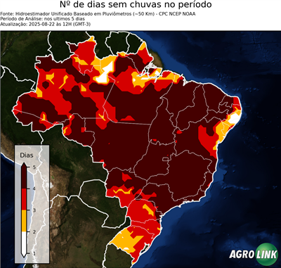 5 dias