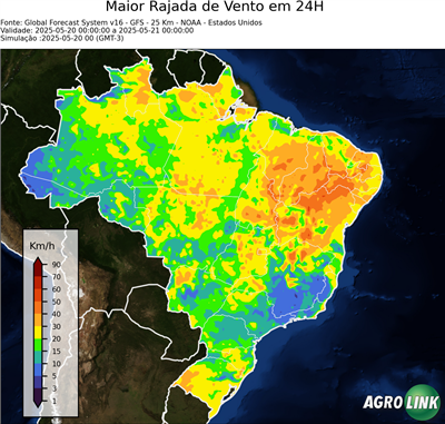 24 horas