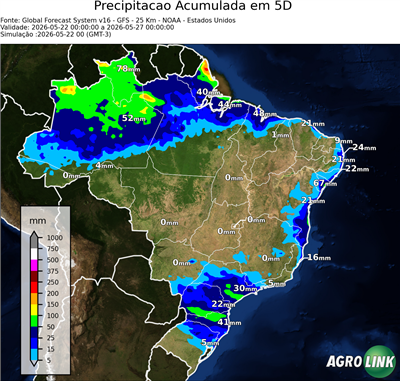 5 dias
