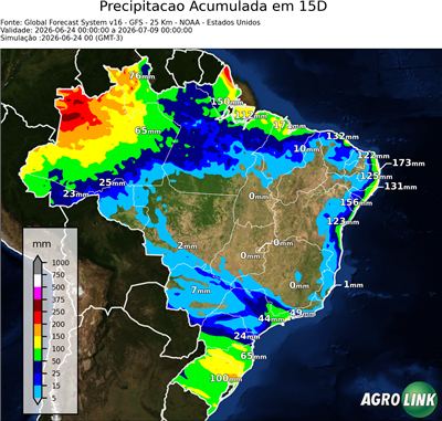 15 dias