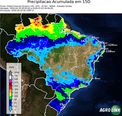 15 dias