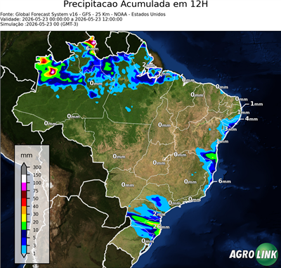 12 horas