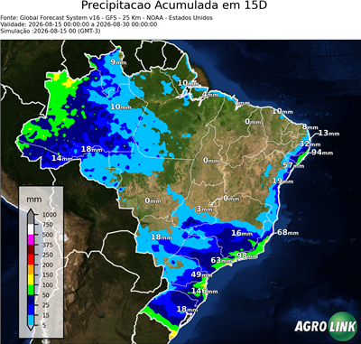 15 dias