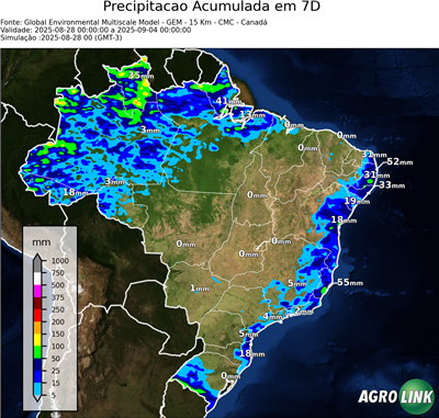 10 dias