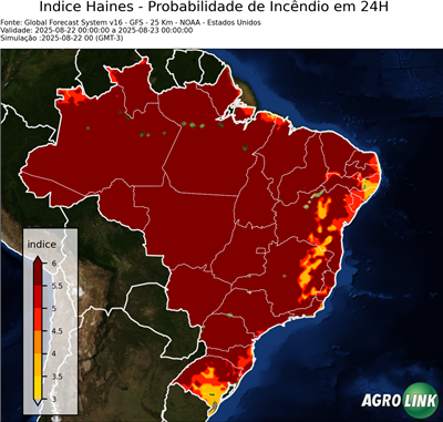 24 horas