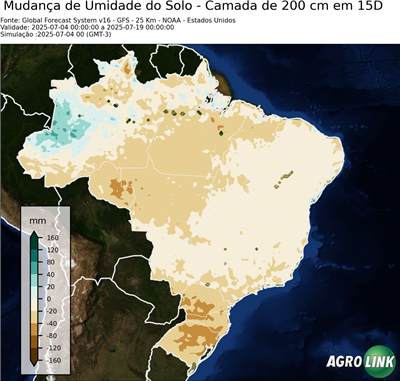 15 dias