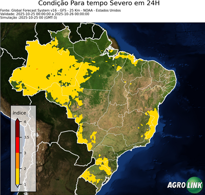 24 horas