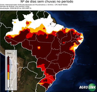 5 dias