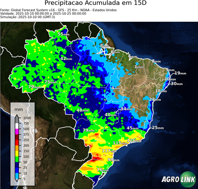 15 dias