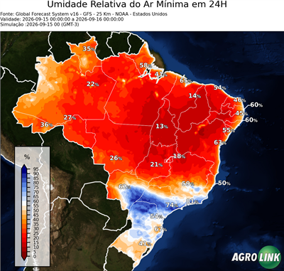 24 horas