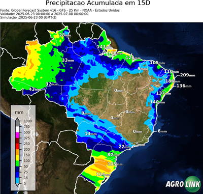 15 dias