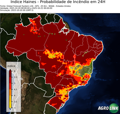 24 horas
