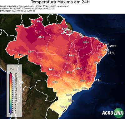 24 horas
