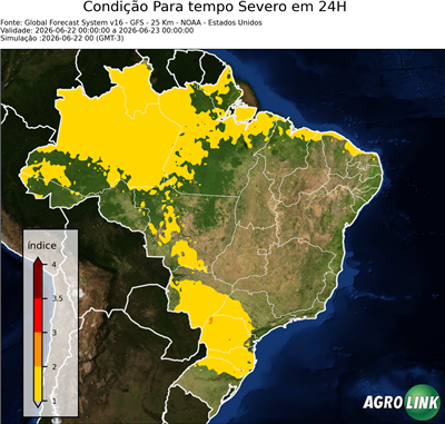 24 horas