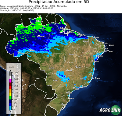 5 dias