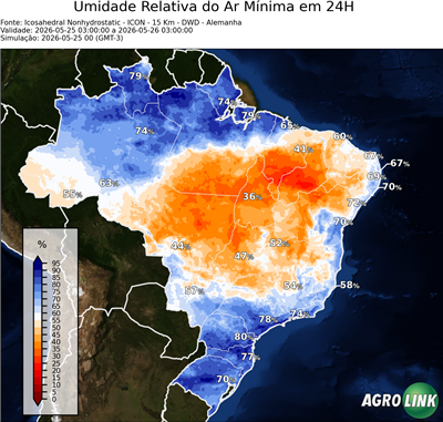24 horas