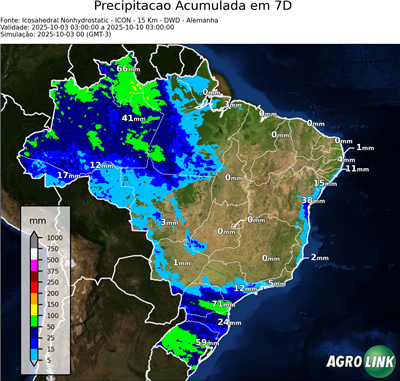 7 dias