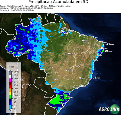 5 dias